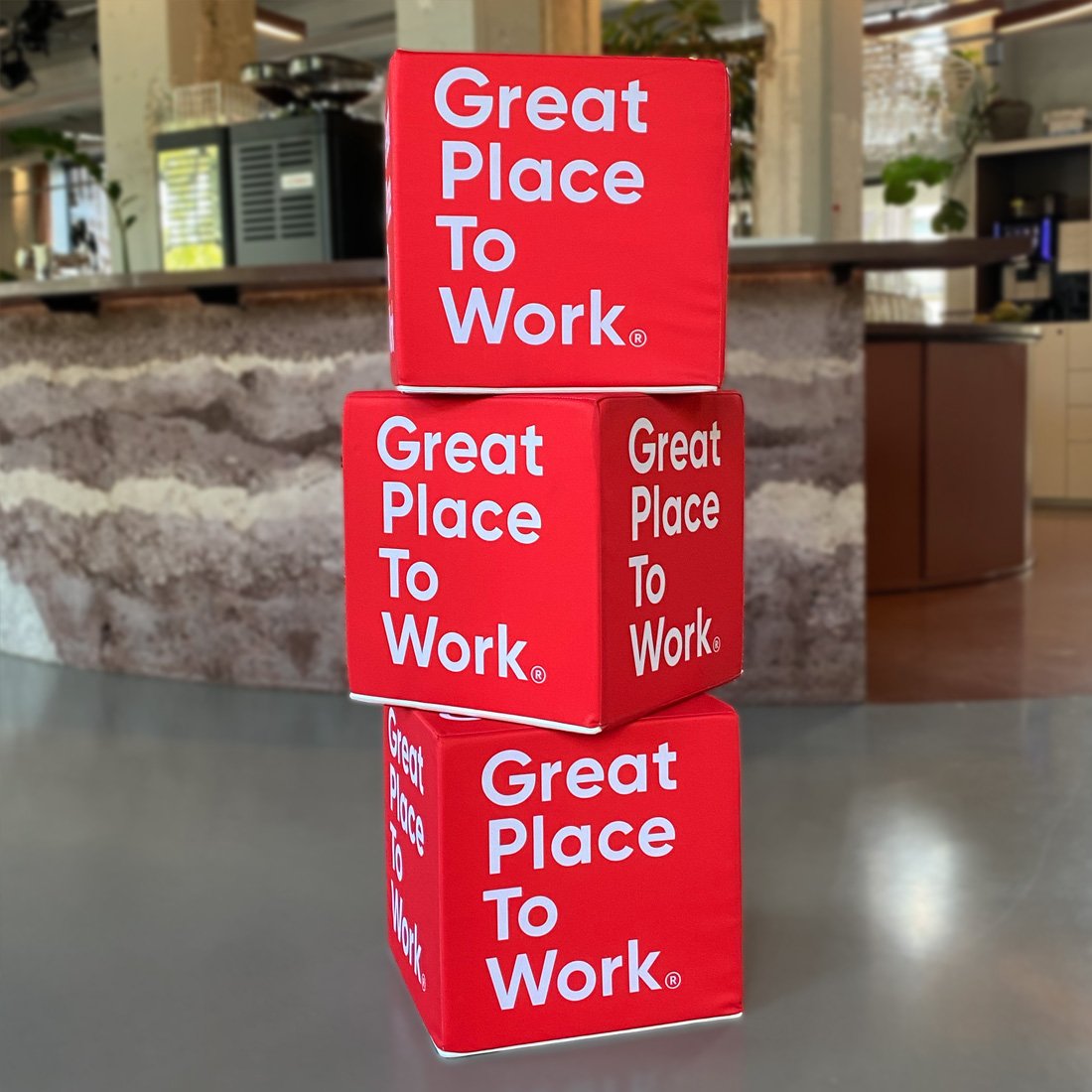 GPTW_Merchandise_Webshop_Driekubussen