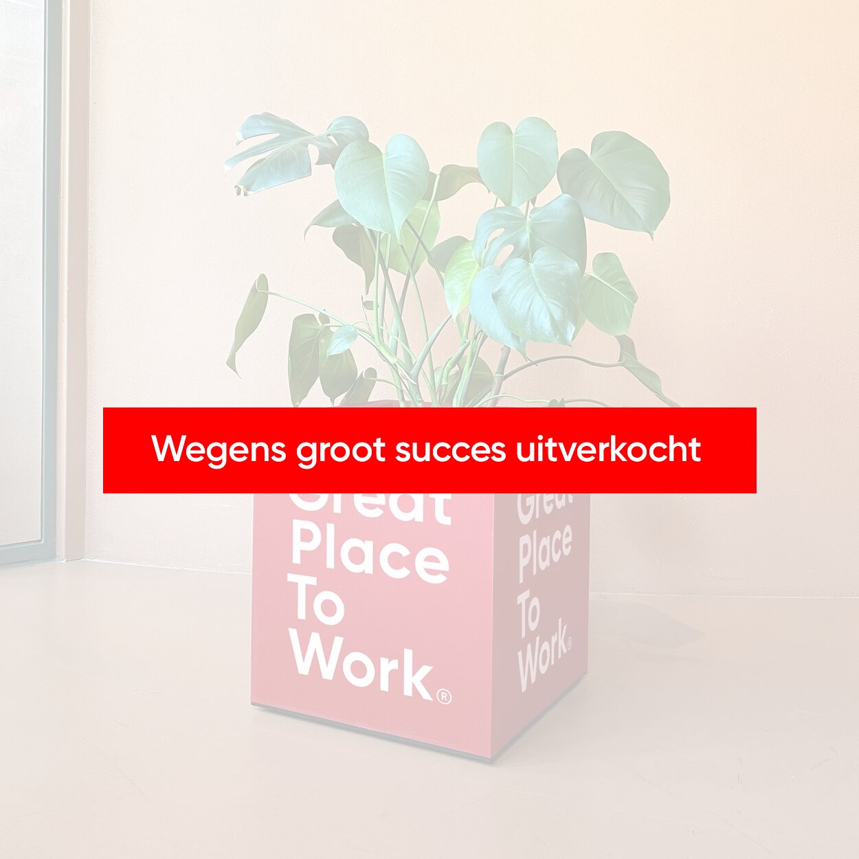 GPTW_Merchandise_Webshop_beelden_Plantenbak_Uitverkocht