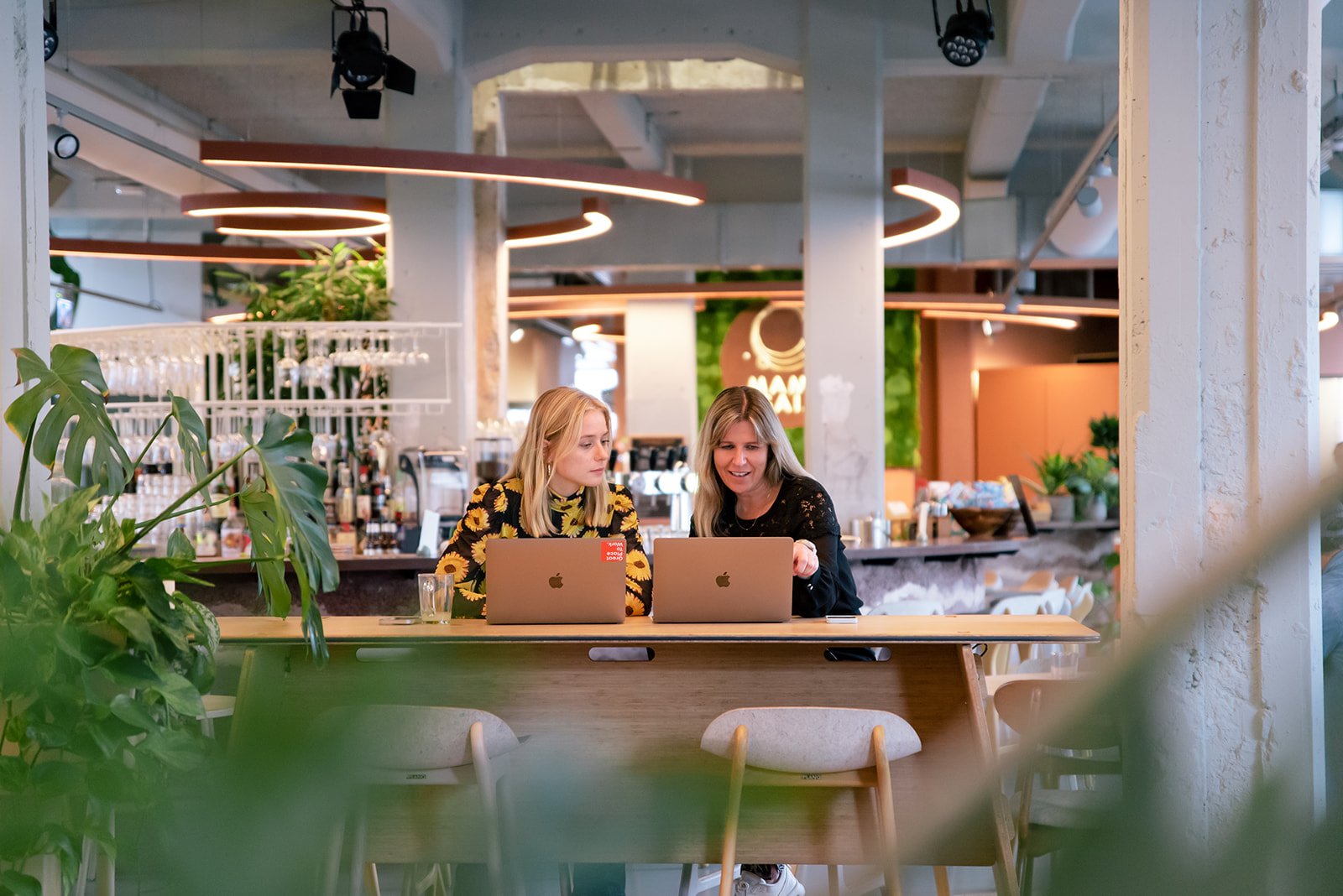 Twee collega's werken achter een laptop op het kantoor van Great Place To Work