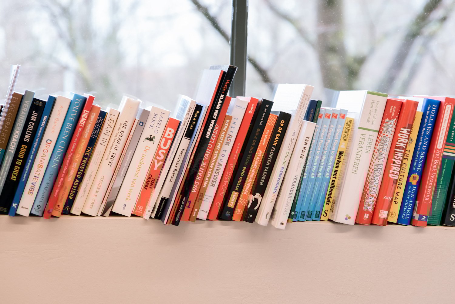 Boeken over leiderschap