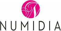 Numidia-Logo-Great-Place-To-Work-Certified