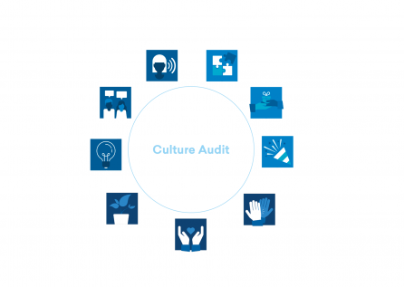 Culture Audit Model3