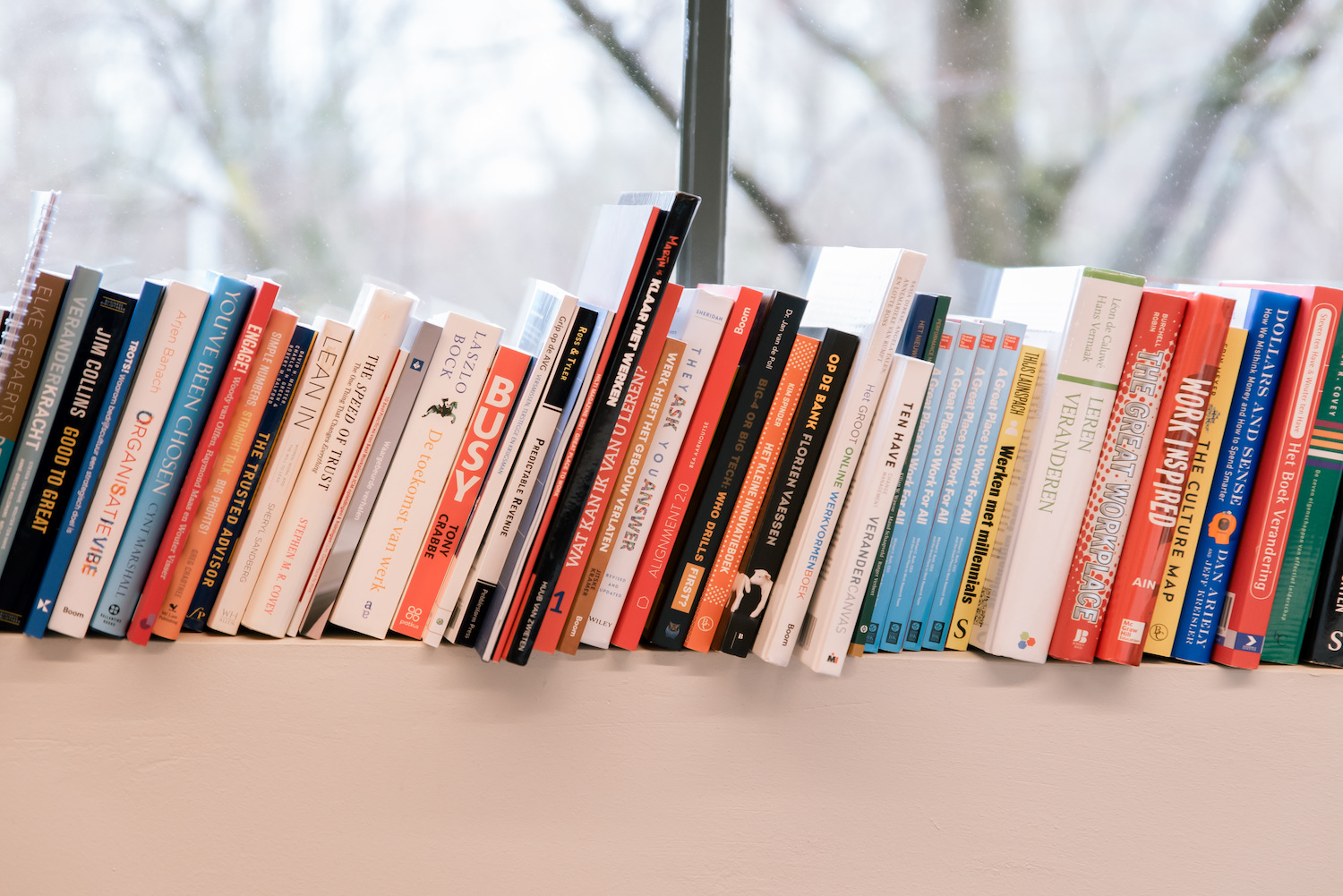 Boeken over leiderschap