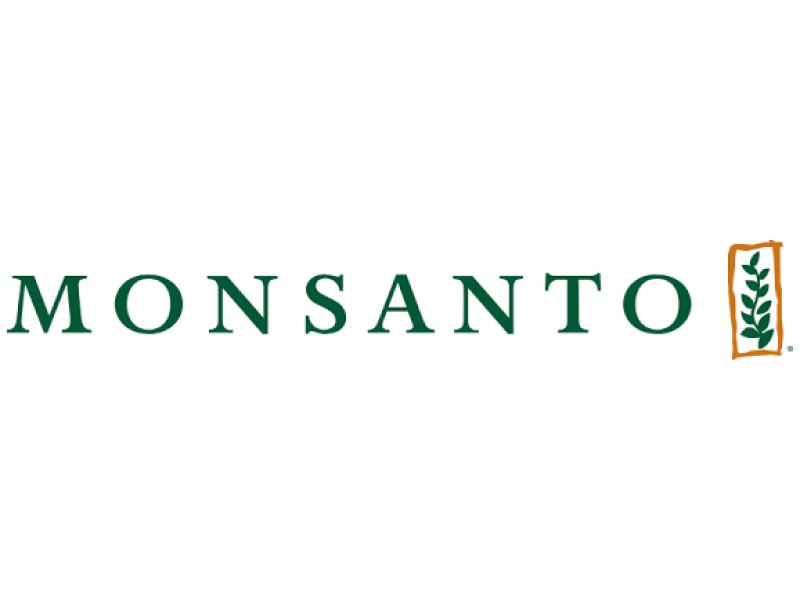 Monsanto-Best-Workplace
